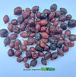 Краплі для очей Айсотін Плюс, Айсотін Плюс краплі очні, 10мл, очні хвороби, Isotine Plus, eye drop, фото 2