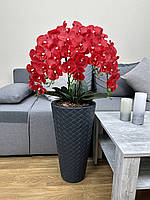 Напольная композиция Premium из латексных орхидей на 5 веточек в черном кашпо, искусственные цветы