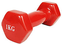 Гантель для фитнеса 1.0 кг EasyFit с виниловым покрытием красная