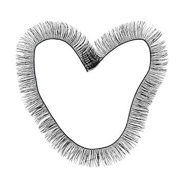 Вії для іграшок та ляльок 20 см*10мм, колір чорний