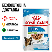 Royal Canin X-small Puppy in gravy Влажный корм для собак миниатюрных размеров, 85г