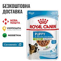 Влажный корм Royal Canin X-small Puppy in gravy для собак миниатюрных размеров, 85г