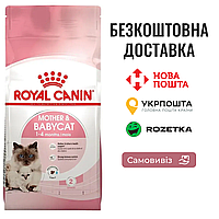 Royal Canin Mother & Babycat | Сухой рацион для беременной, кормящей кошки и котят, 0.4 КГ