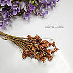 Гірська квітка теракотова, фото 2