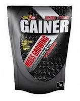 Gainer Power Pro, 1 кг