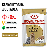 Royal Canin Yorkshire Terrier Adult | Влажный корм для Йоркширського терьера, 85г