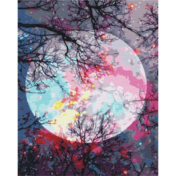 Картина за номерами 40×50. С видом на луну. Brushme 1423