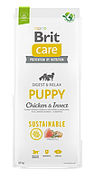 Сухой корм Brit Care Sustainable Puppy с курицей и насекомыми для щенков от 4 недель до 12 месяцев 3 кг