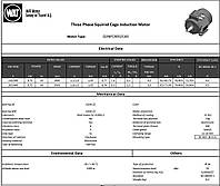 Двигатель MOT Q3NFC80S2C40-KG 0,75kW 3000D 2-4V B14 IE3 WAT