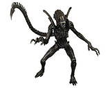 Чужий (Alien-Hunter) 23 см, фото 5