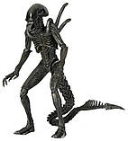 Чужий (Alien-Hunter) 23 см, фото 6