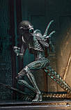 Чужий (Alien-Hunter) 23 см, фото 7