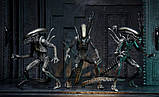 Чужий (Alien-Hunter) 23 см, фото 8