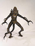 Чужий (Alien-Warrior) (шарир), фото 5