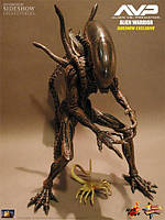 Alien-Hunter-AVP (Hot Toys) 1:6