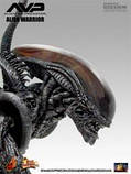 Alien-Hunter-AVP (Hot Toys) 1:6, фото 3
