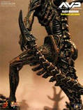 Alien-Hunter-AVP (Hot Toys) 1:6, фото 6