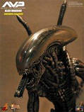 Alien-Hunter-AVP (Hot Toys) 1:6, фото 7