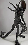 Alien-Hunter-AVP (Hot Toys) 1:6, фото 9