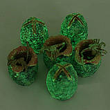 Яйця (Кокони) Чужих, фото 9