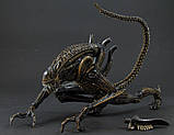 Чужий (Alien-Warrior) new (шарир) + 3 бонуси, фото 10