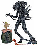 Чужий (Alien-Warrior) new (шарир) + 3 бонуси, фото 11