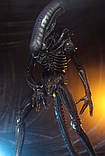 Чужий (Alien-Lurker) 45 і 60 см! 2020 г. Мега розмір. рарит, фото 6