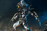 Predator-Alpha (Хижник Альфа) Стародавній 2020, фото 10