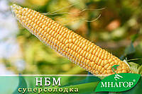 Насіння цукрової кукурудзи НБМ 2020 F1 50 шт, Мнагор