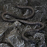Намисто Цеп Чорна змія (сталь) набір, фото 3