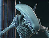 Чужий Гідроморф Aliens 4) 35см, фото 5