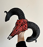 Череп Барана з Пентаграмою і черепами (натуральний ), фото 2