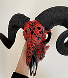 Череп Барана з Пентаграмою і черепами (натуральний ), фото 3