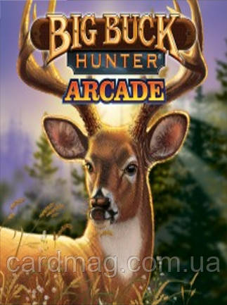 Big Buck Hunter Arcade Xbox Live Key EUROPE, фото 1