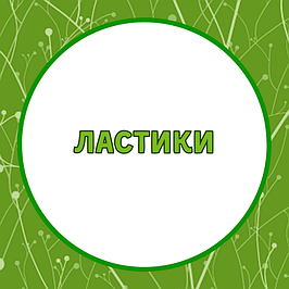 Ластики