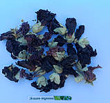 ФІТОР в таблетках №60, фото 3