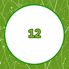 Зошити 12 аркушів