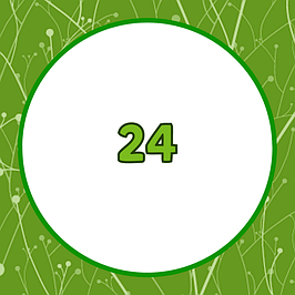 Зошити на 24 аркуша