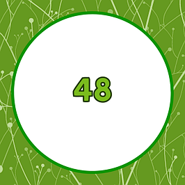 Зошити 48 аркушів
