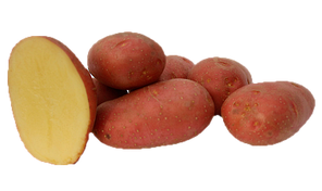 Картопля сорту Есмі 150грн /2,5кг