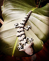 Іграшка Аксолотль.