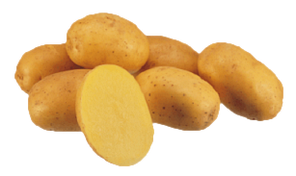 Картопля сорту Констанс 150грн /2,5кг