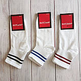 Шкарпетки Житомир тенісні середня висота білі з кольоровою полоскою 37-39р | 12 пар, фото 2