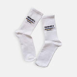 Набір патріотичних шкарпеток (бренд BOX) от ТМ TwinSocks - 6 шт на Ваш вибір, фото 3
