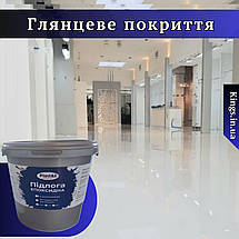 Епоксидна наливна підлога Чорний для Гаража  на 30 м2 Plastall™ 10 кг KINGS, фото 3
