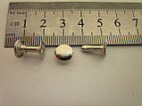Хольтен (заклепка) односторонній 9 х 9 х 12 мм нікель, фото 2
