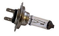 Лампа галогеновая H7 12 В 100 Вт PX26D Tes-Lamps