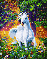 Картина Рисование по номерам Белая Лошадь 40х50 Картины рисовать по номерам лошади Набор для росписи картины