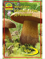Мицелий белого гриба Дубовика 10 гр
