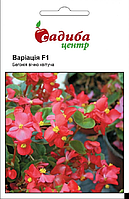 Бегонія Варіація F1, вічноквітуча, 10 гран, Садиба Центр